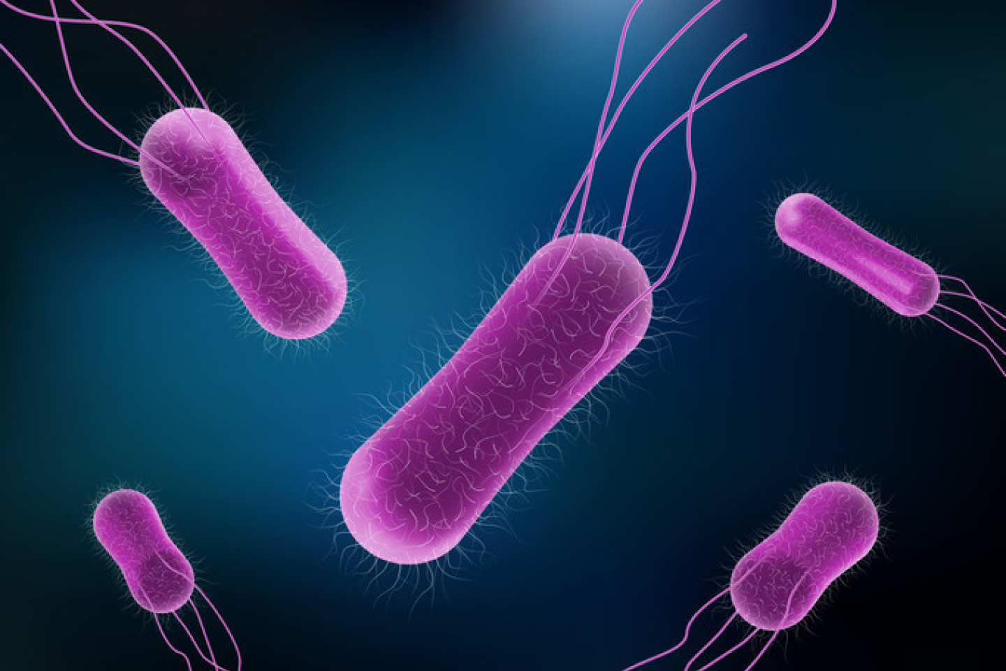 Salmonella is sneaky: Watch out
